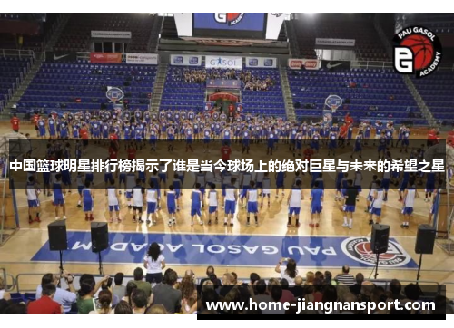中国篮球明星排行榜揭示了谁是当今球场上的绝对巨星与未来的希望之星